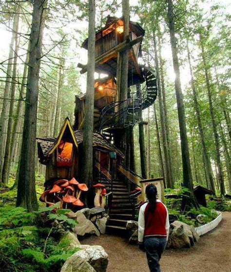 Magical woodland treehouse